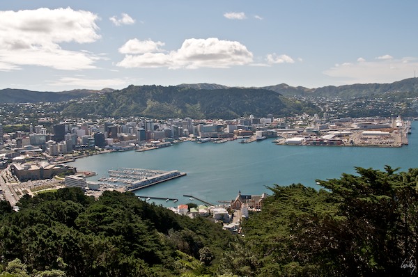 New Zealand 09 10  141